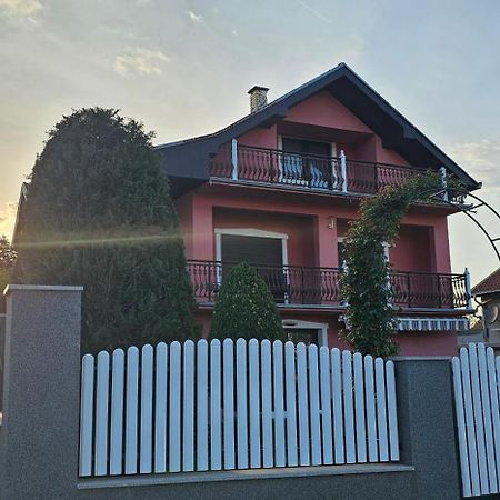 Guest House Lona Голубац Экстерьер фото
